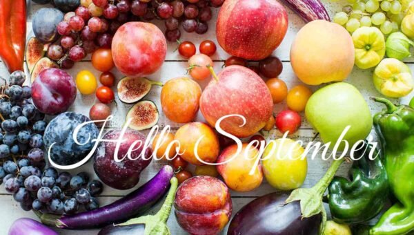 ΠΡΟΣΦΟΡΕΣ ΣΕΠΤΕΜΒΡΙΟΥ