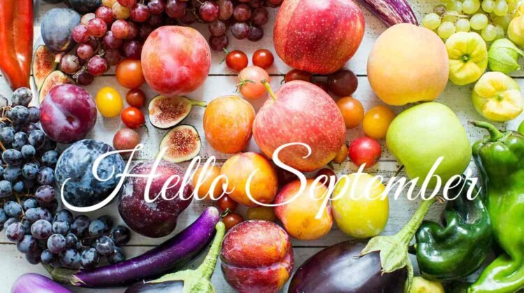 ΠΡΟΣΦΟΡΕΣ ΣΕΠΤΕΜΒΡΙΟΥ